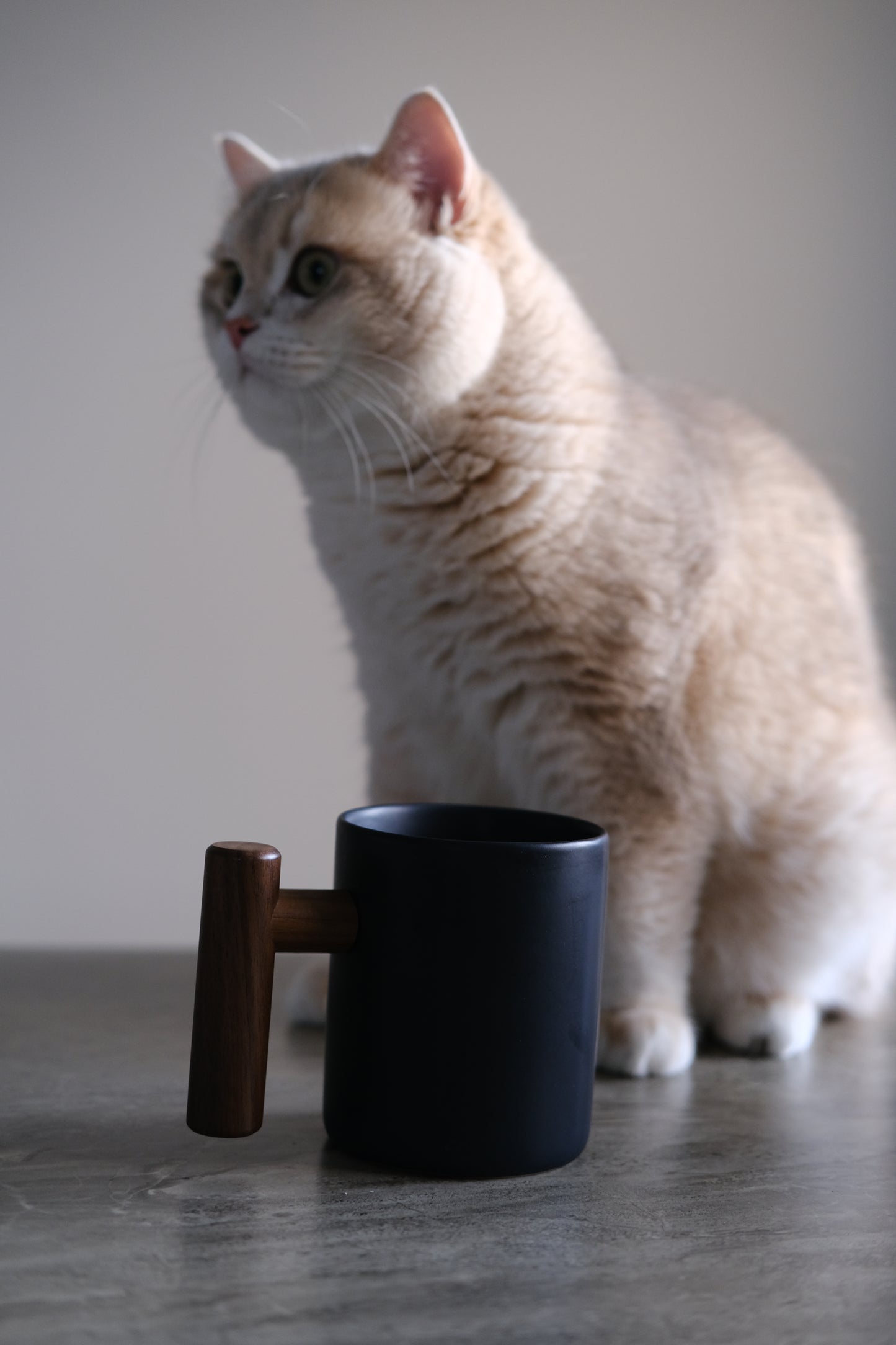 Black Ceramic Mug