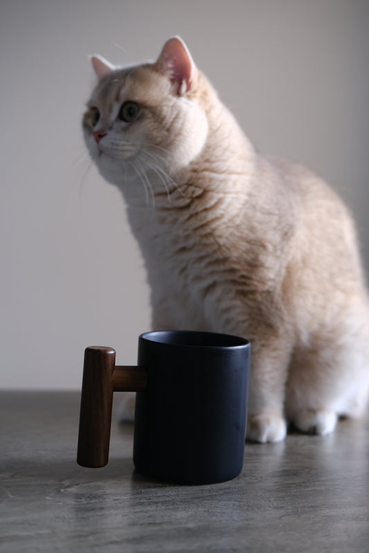 Black Ceramic Mug